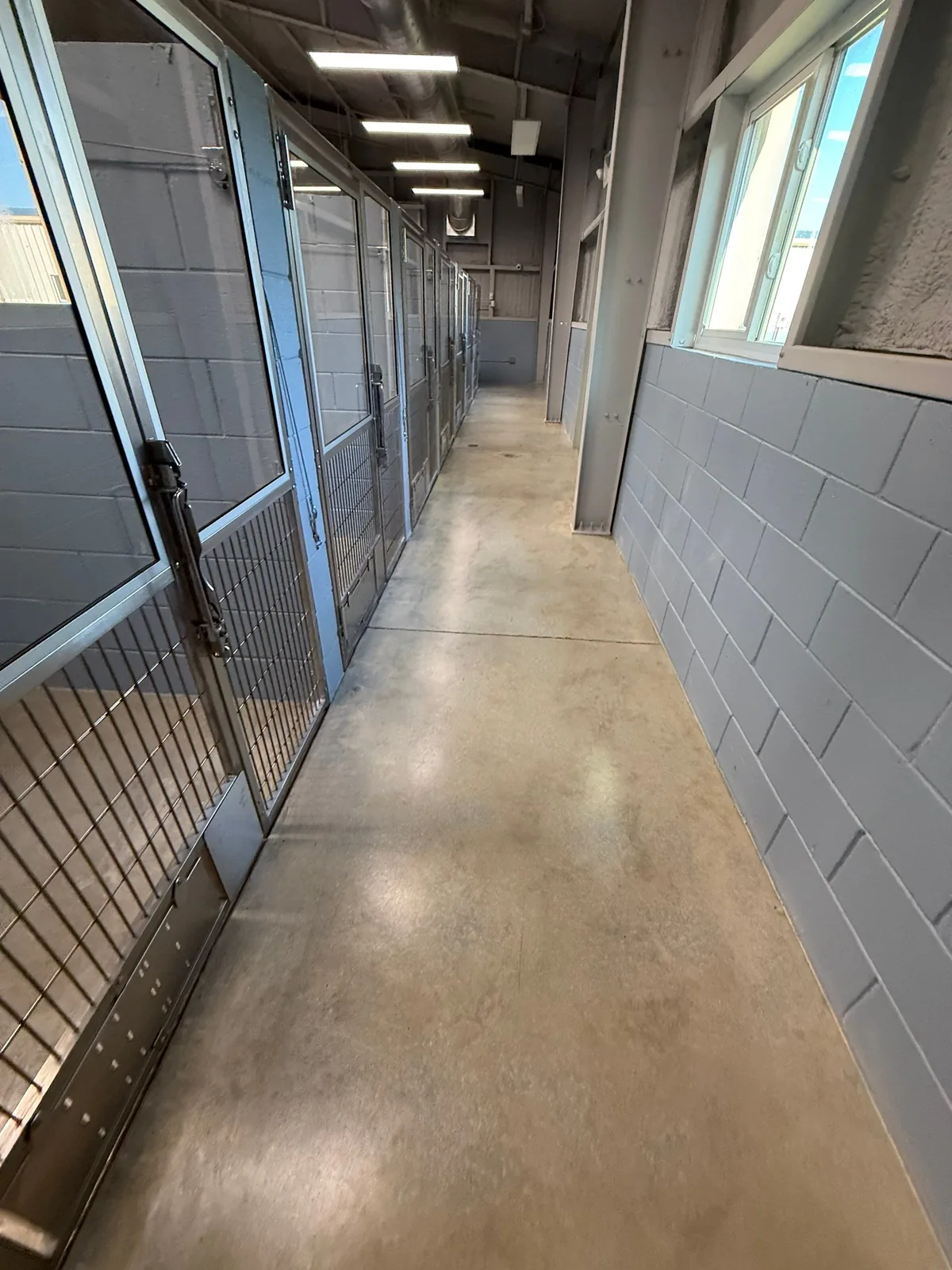 Commercial Painting in Port Saint Lucie, Florida. Interior corridor of a kennel facility with grey painted concrete block walls and metal kennel gates.